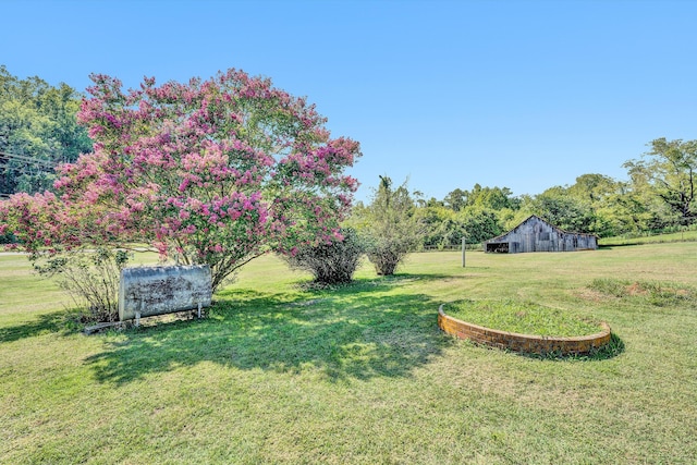 view of yard