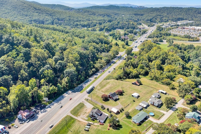 drone / aerial view featuring a mountain view