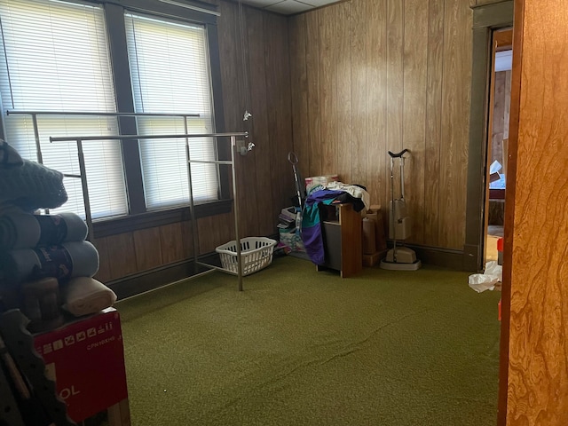 miscellaneous room with carpet and wood walls