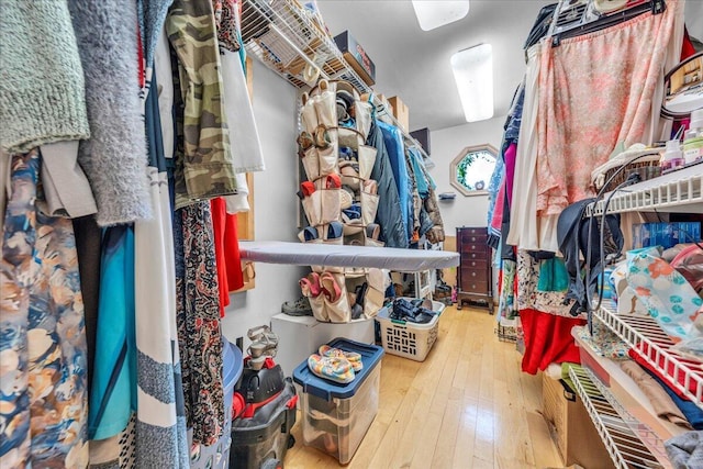 spacious closet with hardwood / wood-style flooring