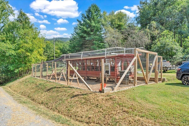 view of poultry coop with a yard