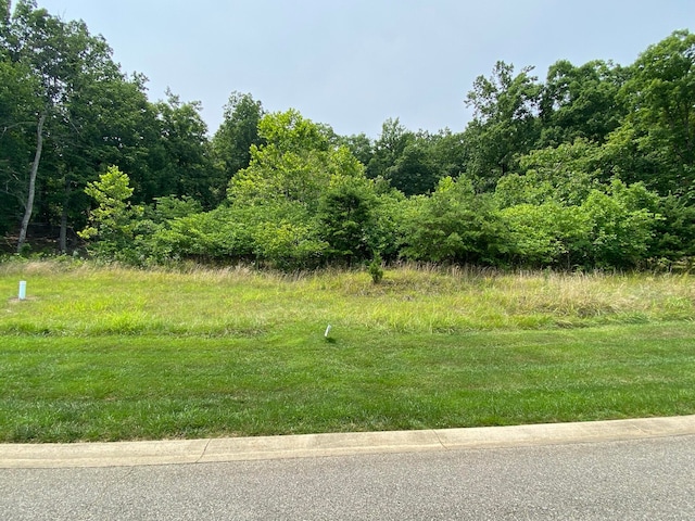 Listing photo 2 for LOT12 Summit Dr, Rocky Mount VA 24151