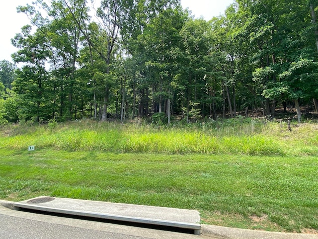 Listing photo 2 for LOT13 Summit Dr, Rocky Mount VA 24151