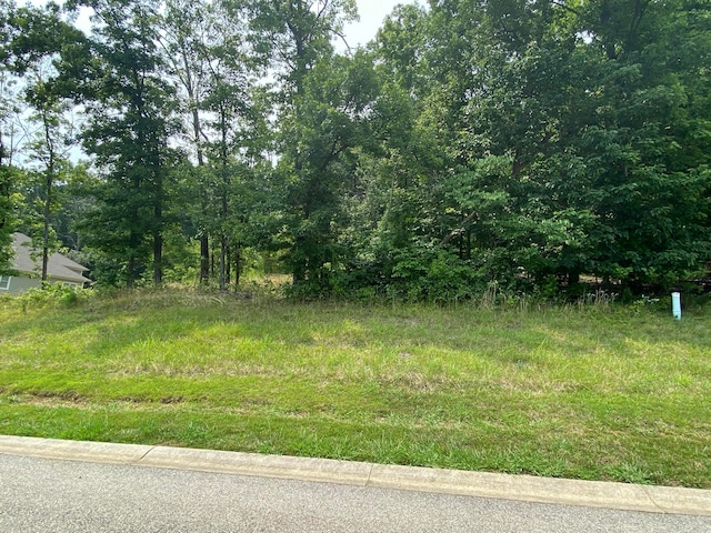 Listing photo 2 for LOT18 Summit Dr, Rocky Mount VA 24151