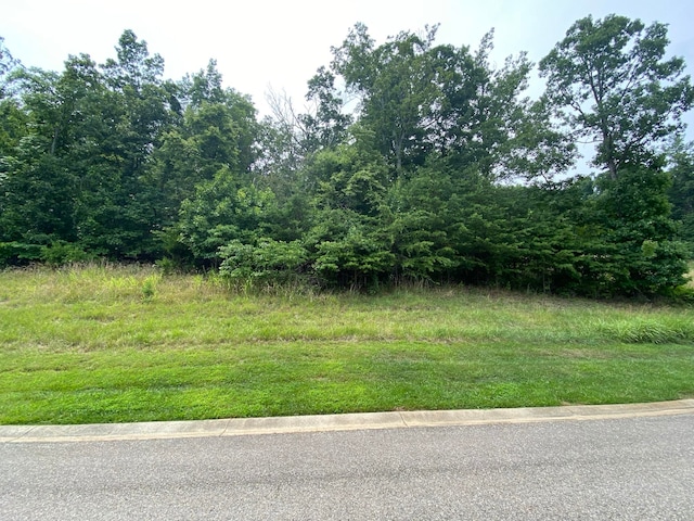 Listing photo 2 for LOT24 Summit Dr, Rocky Mount VA 24151