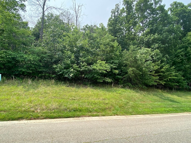 Listing photo 2 for LOT20 Summit Dr, Rocky Mount VA 24151