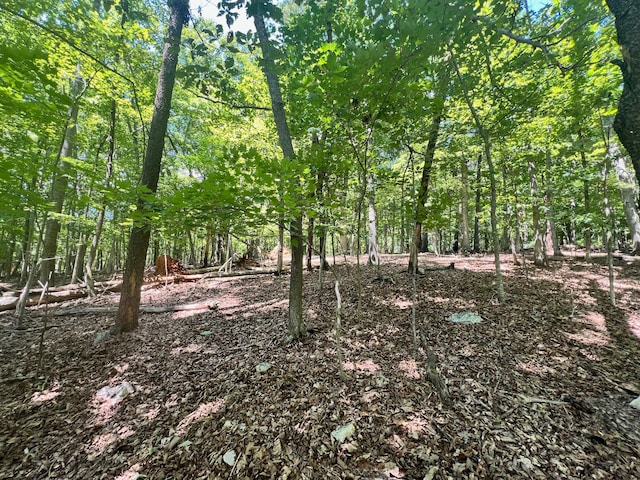 0 Poplar Dr, Hardy VA, 24101 land for sale