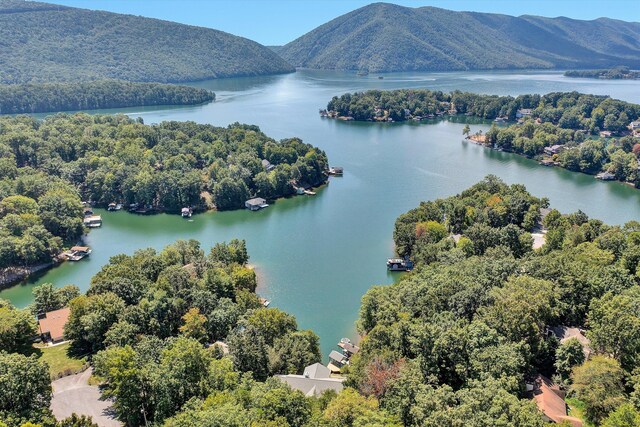 drone / aerial view with a water and mountain view