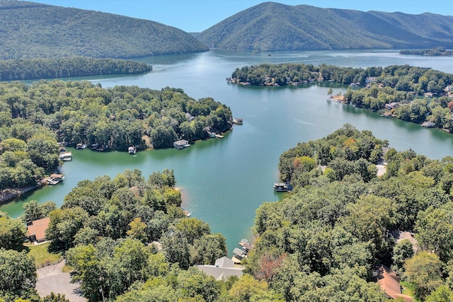 bird's eye view with a forest view and a water and mountain view