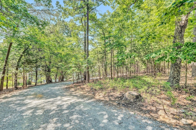 view of road with a wooded view