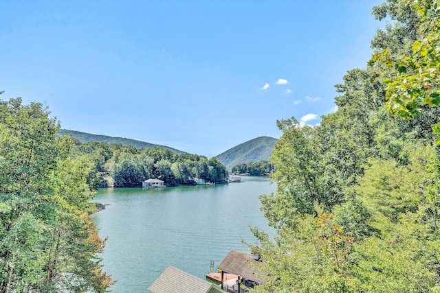 view of water feature featuring a dock