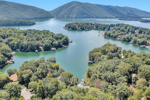 birds eye view of property featuring a forest view and a water and mountain view