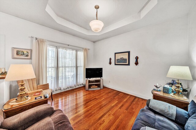 living room featuring wood-type flooring and a raised ceiling