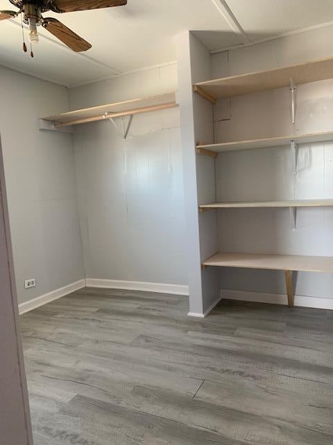 walk in closet with ceiling fan and wood-type flooring