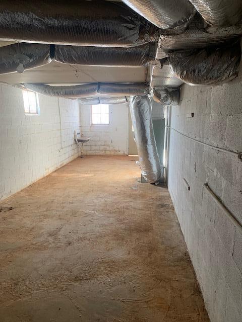 basement featuring plenty of natural light