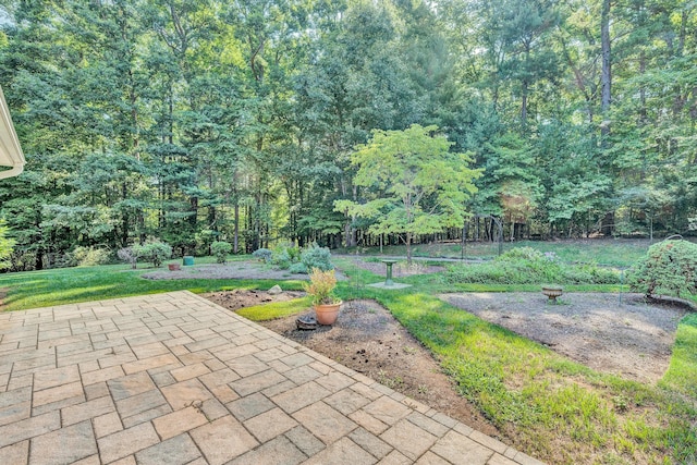 view of yard with a patio area