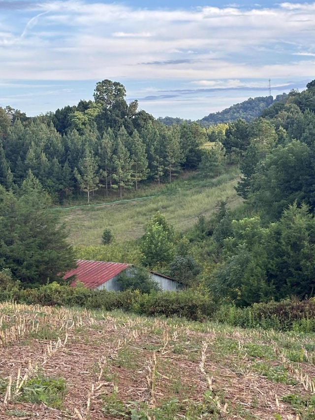 property view of mountains with a forest view