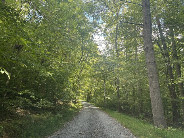 view of street with a view of trees