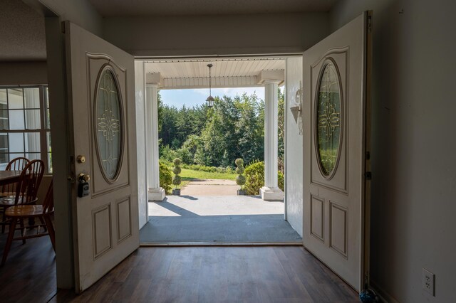 foyer entrance with dark wood-type flooring and a healthy amount of sunlight