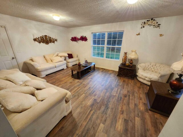 living room featuring a textured ceiling and wood-type flooring