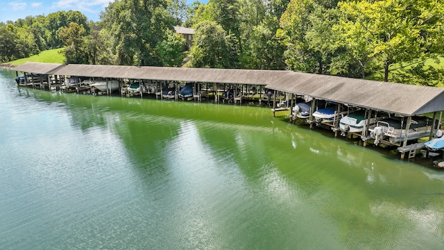 dock area with a water view