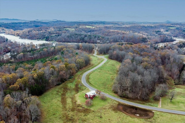 bird's eye view