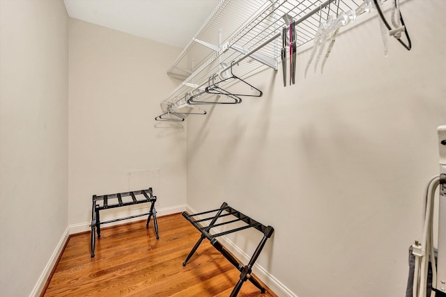 spacious closet featuring hardwood / wood-style flooring