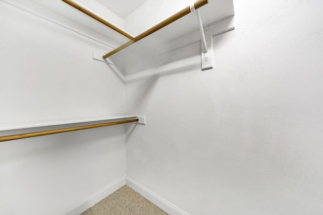 spacious closet with carpet floors