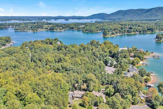 aerial view with a water and mountain view