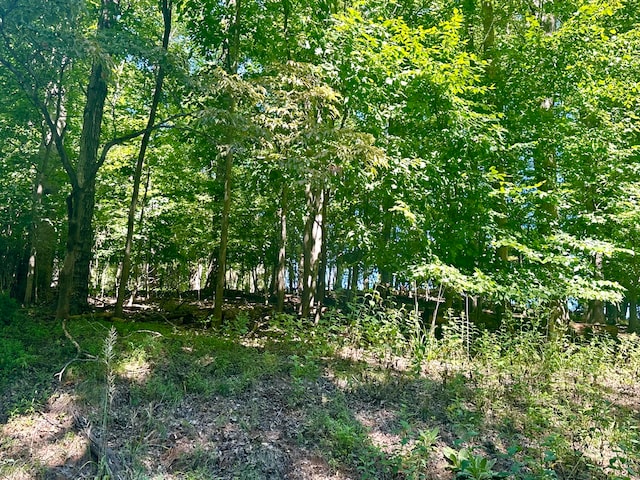 LOT1 Whisperwood Ln, Moneta VA, 24121 land for sale