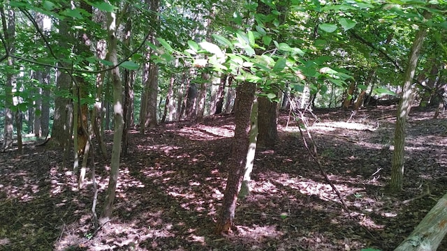 LOT53 Ridgeway Ct, Moneta VA, 24121 land for sale