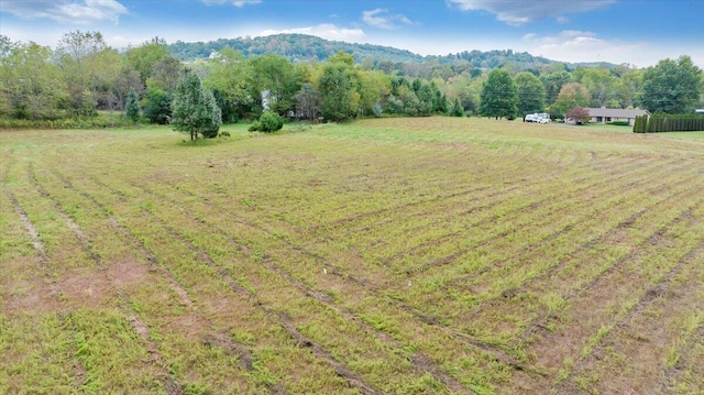 LOT1 Pico Rd, Buchanan VA, 24066 land for sale