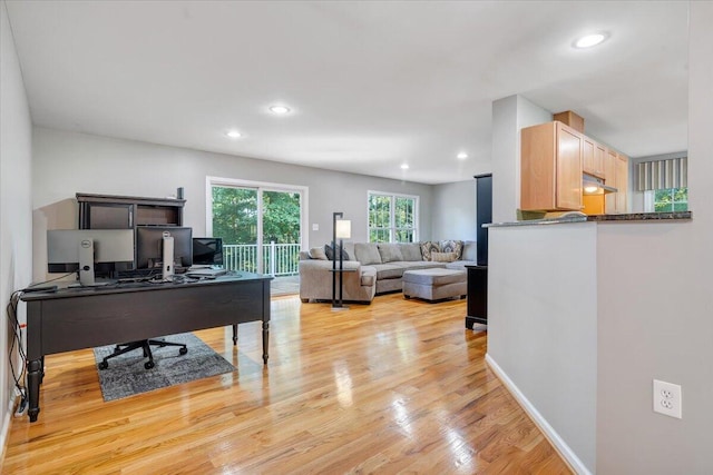 office space featuring light wood-type flooring