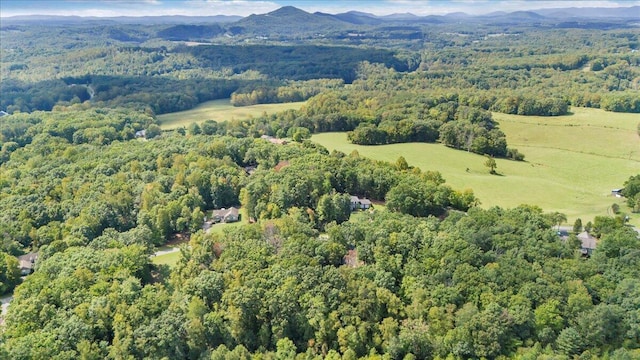 drone / aerial view with a mountain view