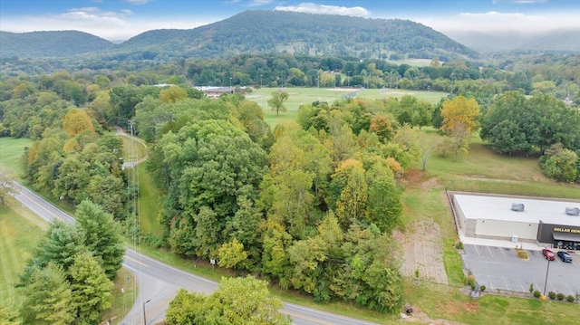 Listing photo 2 for LOT6 Main St, Buchanan VA 24066