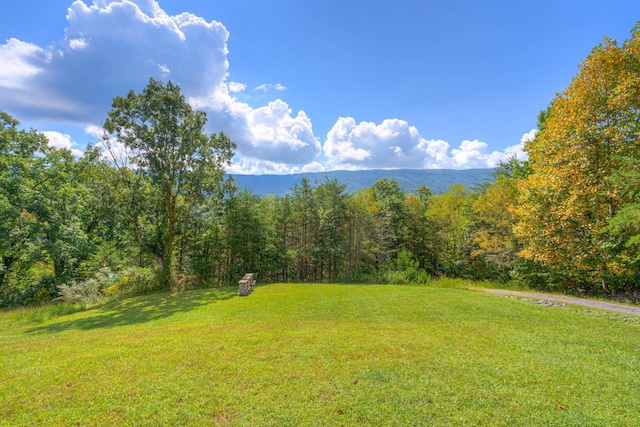 1782 Wolf Creek Rd, Narrows, VA 24124 - view of grassy yard with a forest view