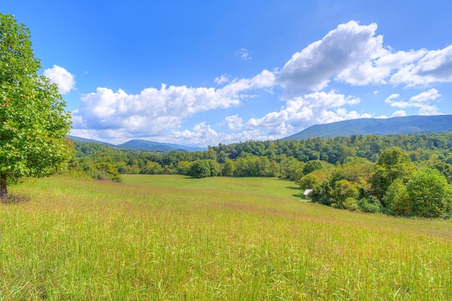 1782 Wolf Creek Rd, Narrows, VA 24124 - view of mountain backdrop featuring a heavily wooded area