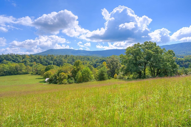 1782 Wolf Creek Rd, Narrows, VA 24124 - view of mountain background with a forest and rural landscape