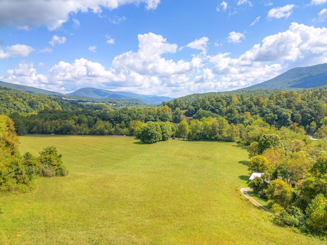 1782 Wolf Creek Rd, Narrows, VA 24124 - mountain view with a forest