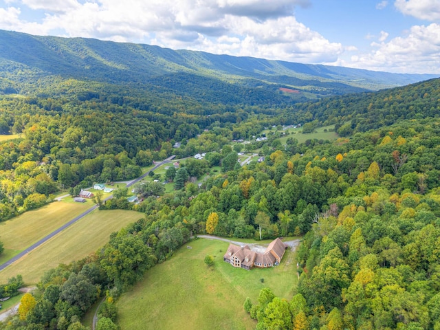 1782 Wolf Creek Rd, Narrows, VA 24124 - aerial view of a forest and a mountain backdrop