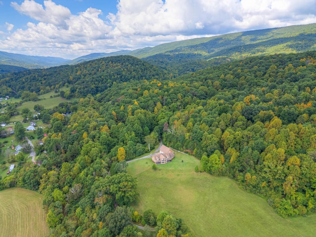 1782 Wolf Creek Rd, Narrows, VA 24124 - bird's eye view of a forest and a mountainous background