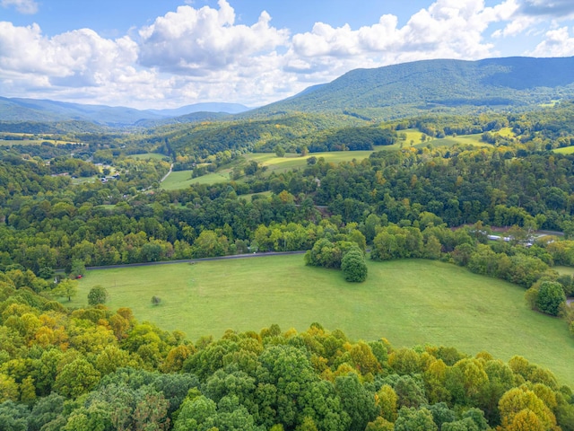 1782 Wolf Creek Rd, Narrows, VA 24124 - drone / aerial view of a forest and a mountainous background