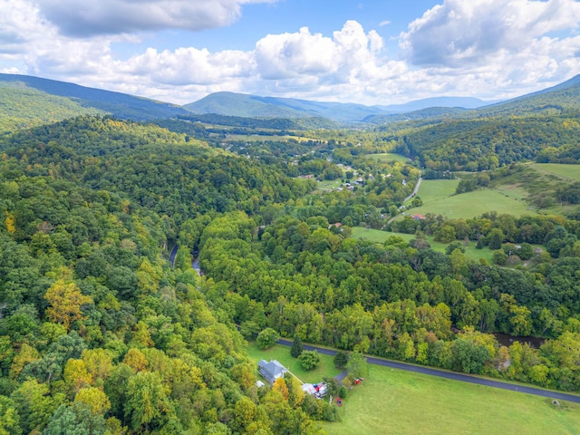 1782 Wolf Creek Rd, Narrows, VA 24124 - bird's eye view of a forest and mountains