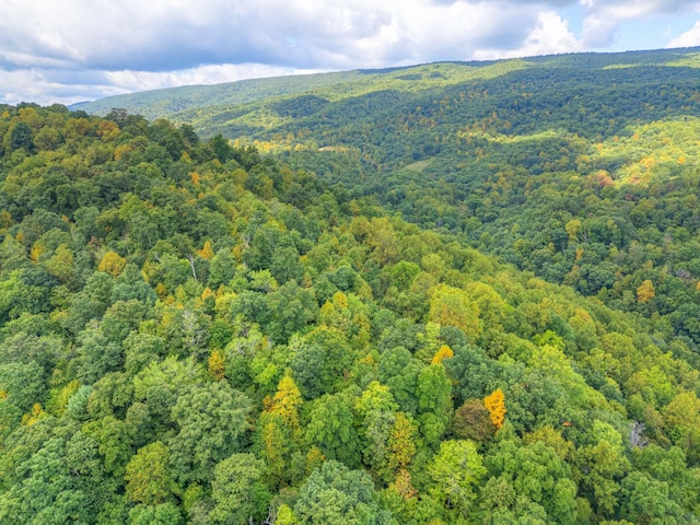 1782 Wolf Creek Rd, Narrows, VA 24124 - bird's eye view of a forest