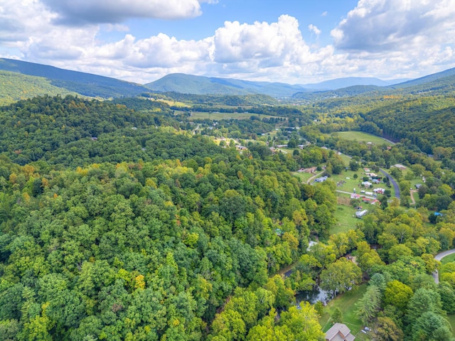 1782 Wolf Creek Rd, Narrows, VA 24124 - bird's eye view of a heavily wooded area and a mountainous background
