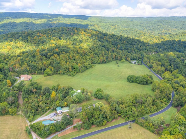 1782 Wolf Creek Rd, Narrows, VA 24124 - aerial overview of property's location with a heavily wooded area