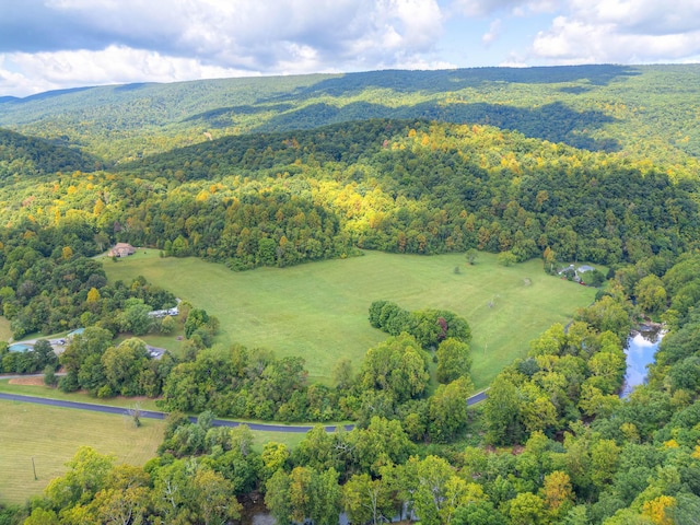 1782 Wolf Creek Rd, Narrows, VA 24124 - aerial view of a heavily wooded area
