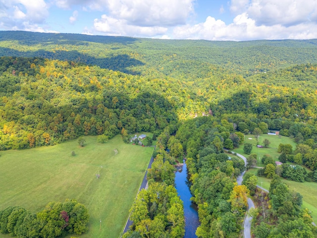 1782 Wolf Creek Rd, Narrows, VA 24124 - bird's eye view of a heavily wooded area