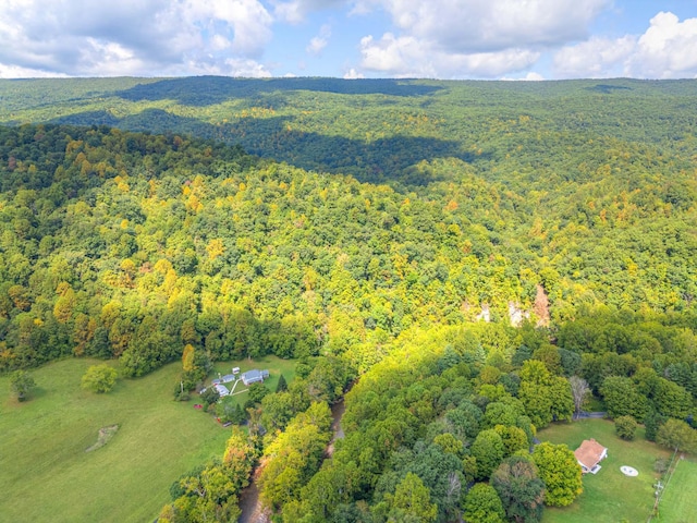 1782 Wolf Creek Rd, Narrows, VA 24124 - bird's eye view of a forest