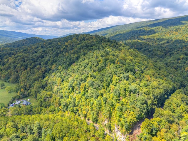1782 Wolf Creek Rd, Narrows, VA 24124 - aerial view of a forest and a mountainous background